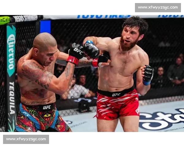 UFC重量级经典对决大布对阵锤子血战擂台全解析历史意义与战术回顾